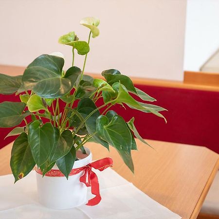 Dr. Aufmesser Appartements Obertauern Kültér fotó
