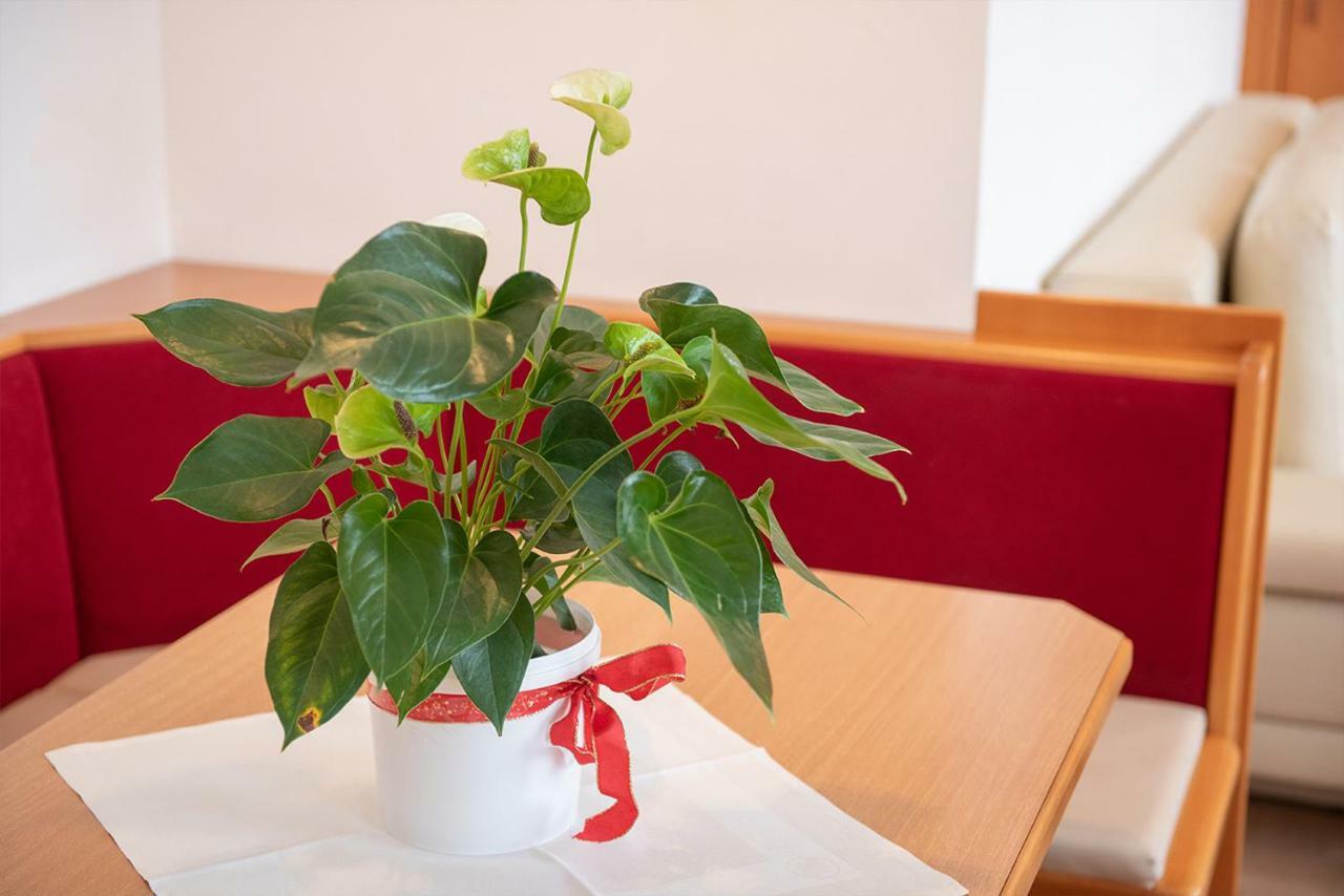 Dr. Aufmesser Appartements Obertauern Kültér fotó